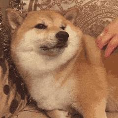 DƬ